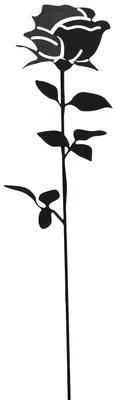 Image de Fiche de jardin Rose
