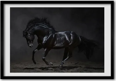 Produktbild von Bild - Bilder - Bilderrahmen - 70 cm x 50 cm - MDF-Rahmen, Wandkunst Schwarzes Pferd