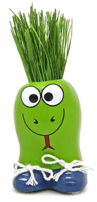 Produktbild von Anzuchtset Munakuppi Schlange | Anzuchtsets von Buzzy Gifts