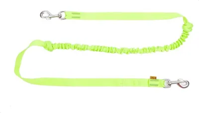 Produktbild von Hundeleine mit Stoßdämpfer und zwei Karabiner Joggingleine 170 cm grün