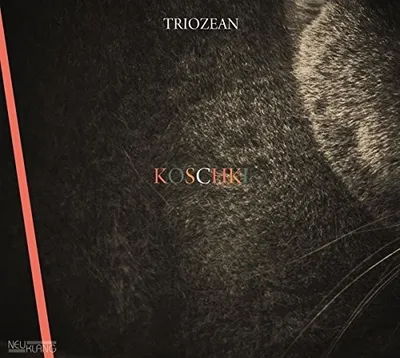 Produktbild von Koschki