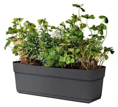 Obrázok produktu pre Plastová Krabička 50Cm Tera Blossom