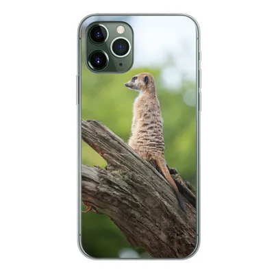 Produktbild von MuchoWow® Handyhülle Schutzhülle Hülle für iPhone 11 Pro Erdmännchen - Ast - Baum Silikon Softcase Handy Hülle - Handy