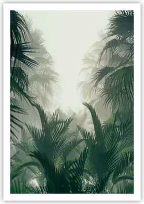 Produktbild von Poster - Poster ohne Rahmen - Dschungel Blätter Palmen - 70x100 cm - Wand Bild - Wanddeko - Wandbilder - Kunstposter - Wandposter - Bilder - Kunstdruck - Wanddekoration - Wandbild - P2XPA70x100-4504