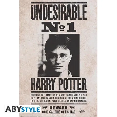 Obrázok produktu pre Plagát Harry Potter - Undesirable No 1