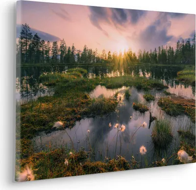 Produktbild von Keilrahmenbild - Gloomy Swamps - Größe 60 x 40 cm
