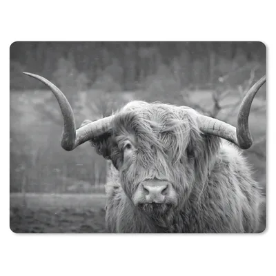Produktbild von MuchoWow® Mauspad Mousepad Schottischer Highlander - Kuhkopf - Landschaft - Natur - Kuh 23x19 cm - Mousepads - Maus Mat - Pad - Mausunterlage - Schreibtischunterlage - Mauspad