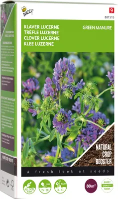 Produktbild von Gründüngerklee Luzerne (200 g) | Gründünger von Buzzy Seeds