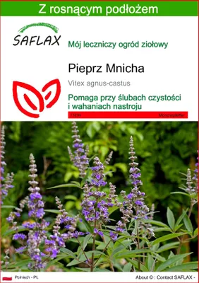 Zdjęcie produktu dla SAFLAX - Pieprz Mnicha - 30 Nasiona - Z podłożem uprawowym wolnym od zarazków - Vitex agnus-castus