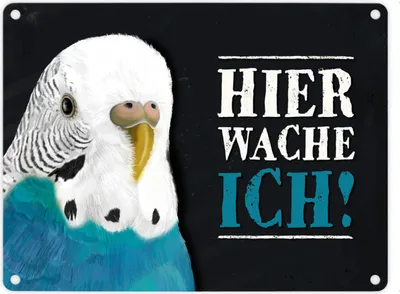 Produktbild von Metallschild mit Wellensittich blau Motiv und Spruch: Hier wache ich!