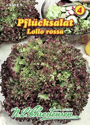 Produktbild von Pflücksalat Lollo Rossa | Pflücksalatsamen von N.L. Chrestensen