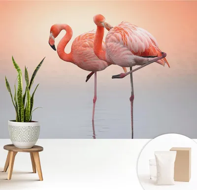 Produktbild von Fototapete  - 208x146 cm - Tapete - Wandtapete - Wandbilder  - Dekofolie - Tapete Folie - Wand - Dekoration - Wohnzimmer - Zarte Flamingos