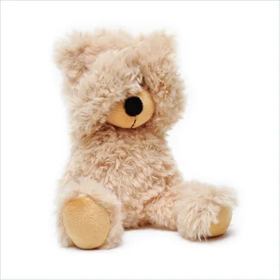 Produktbild von Wallario Premium Glasbild, freischwebende Optik, kräftige Farben, Größe 50 x 50 cm Motiv Süßer Teddybär