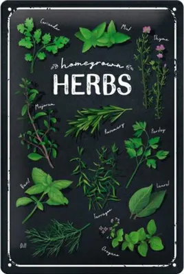 Zdjęcie produktu dla Plakat 20X30 Homegrown Herbs Speci