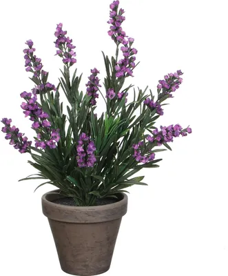 Produktbild von Mica Decorations Lavendel Kunstpflanze im Blumentopf Stan - H33 x Ø20 cm - Violett