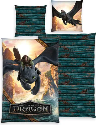 Produktbild von HERDING Dragons Bettwäsche-Set ‘Drachenreiter’ – 135×200 cm, Renforcé, Deckenbezug im Lieferumfang enthalten, Kissenbezug enthalten