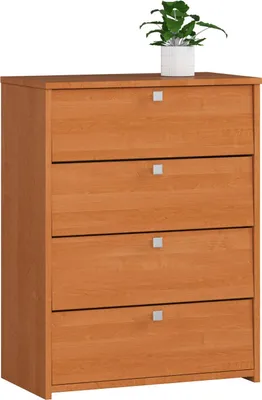 A wooden shoe cabinet with four flip-down compartments, topped with a potted green plant.