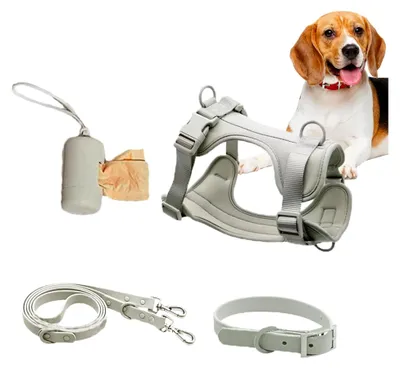 Produktbild von Hundegeschirr-Set für kleine Hunde | Geschirr- und Leinen-Set für mittelgroße Hunde, verstellbares Hundehalsband