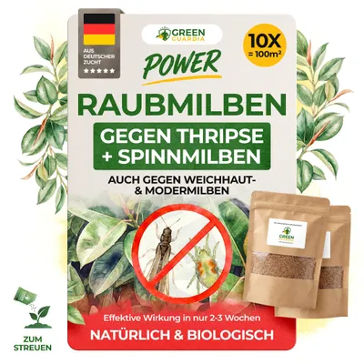 Produktbild von Power Raubmilben Mix gegen Thripse und Spinnmilben -10x Tüten für 100m²- effektiven Thripse & Spinnmilben Bekämpfung. Zimmerpflanzen, Cannabis uvm.