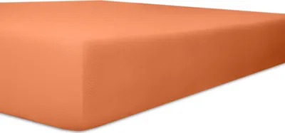 Produktbild von Kneer - Spannbetttuch - * Qualität 22  Vario-Stretch * - Farbe:  70 Karamel - Größe: 180/200 - 200/200 cm