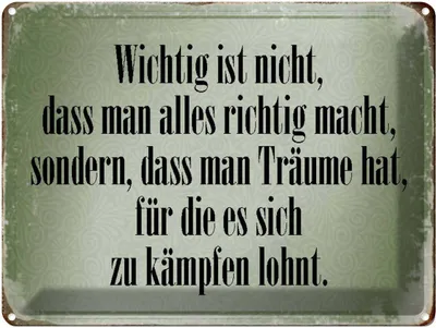 Image de vianmo Plaque en tôle 30x40 cm wichtig Träume haben und kämpfen