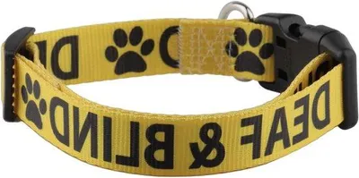 Immagine prodotto di Collare regolabile per cani non vedenti con due funzioni di localizzazione.