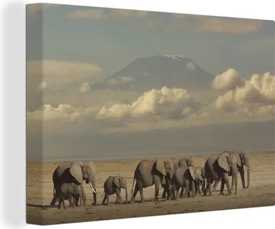 Produktbild von OneMillionCanvasses® - Leinwandbilder - 140x90 cm, Afrikanische Elefanten in der Savanne, Wandbilder Kunstdruck Wanddekoration