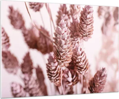 Produktbild von Bilder auf glas - Einteilig - Getrocknet Blume Eco - 100x70cm - Glasbilder - Wandbilder - Bilder - zum Aufhängen bereit - Wanddekoration aus Glas - Glas Bilder - Wandbild auf Glas - GAA100x70-4912