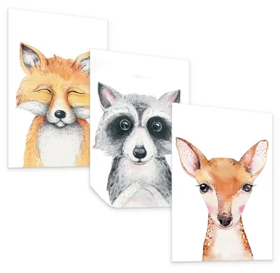 Produktbild von Muralo Poster Set ohne Rahmen für Kinderzimmer WALDTIERE Fuchs Waschbär Reh 21x30cm