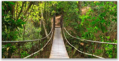 Produktbild von Glasbilder 140x70 Wandbild Druck auf Glas Brücke Wald Natur