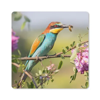 Produktbild von MuchoWow® Mauspad Mousepad Vogel - Bienenfresser - Blumen 30x30 cm - Mousepads - Maus Mat - Pad - Mausunterlage - Gaming