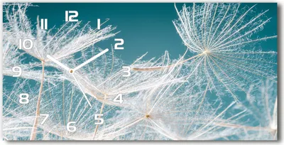 Produktbild von Wanduhr aus Glas – 60x30 cm - Glasbild - Glasuhr - Gehärtetes Glas - weisse-zeiger - Löwenzahn Samen