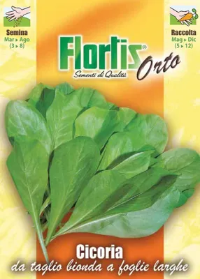 Produktbild von Schnittzichorie Bionda A Foglie Larghe | Schnittzichoriensamen von Flortis