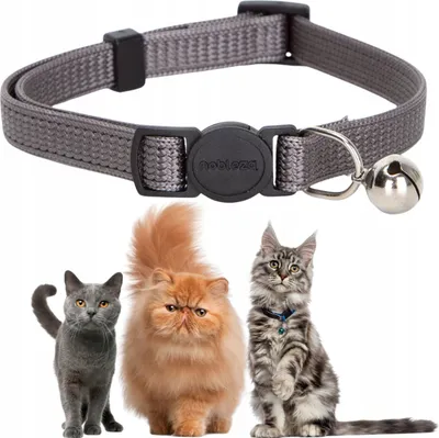 Produktbild von Klassisches verstellbares Katzenhalsband aus Nylon mit Glocke (22-35 cm)