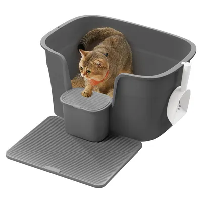 A cat is in a large gray litter box with a scoop and a mat.