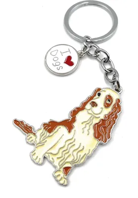 Produktbild von Onwomania Cocker Spaniel Hund Metall Schlüsselanhänger, Glücksbringer in Alu Geschenkbox, ideal zum Verschenken