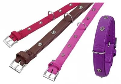 Produktbild von Karlie Art Buffalo Deco Halsband - Rot - 50cm / 30mm