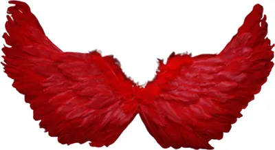 Produktbild von Engel Federflügel mit elastischen Trägern helle Farbe Leichtes Kostüm Cosplay Wings Photography Requisiten-Rot