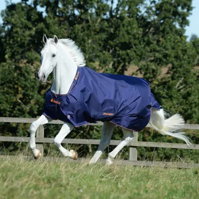 Produktbild von Bucas Outdoordecke 50g Therapy Turnout Light Therapiedecke Navy/Orange 155