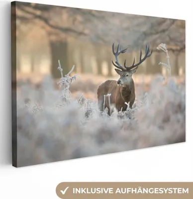 Zdjęcie produktu dla MuchoWow® - Obraz na płótnie - Jeleń - Zwierzęta - Zima, fototapeta, dekoracja ścienna, obrazy do salonu, 30x20cm