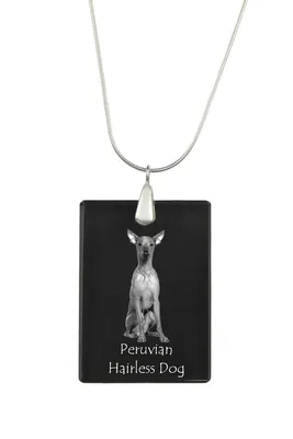 Produktbild von Peruanischer Nackthund, Viringo - Kristallanhänger mit Hund, Silberhalskette mit Foto, personalisierter Anhänger der Marke Art-Dog
