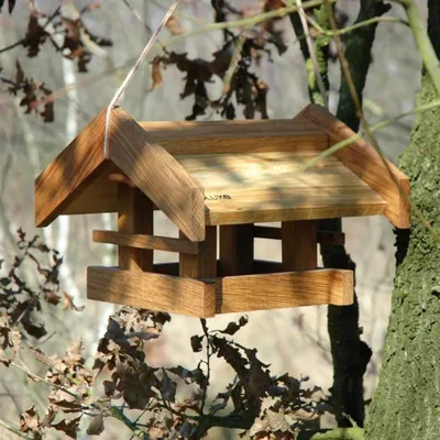 Produktbild von Luxus-Vogelhaus "Basis", Eiche