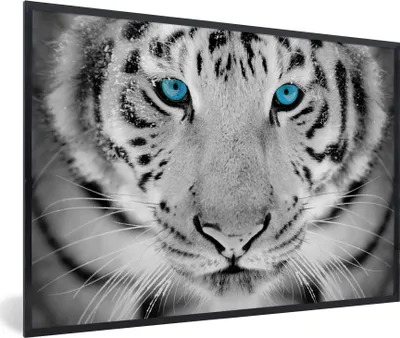 Produktbild von MuchoWow® Gerahmtes Poster Tiere - Tiger - Augen - Blau - Schwarz und weiß 30x20 cm - Poster mit Schwarzem Bilderrahmen Wandposter Rahmen Foto Bilder - Kunstdruck - Bild-Poster