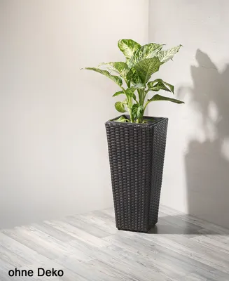 Produktbild von Gartenfreude Pflanzkübel Polyrattan Pflanzgefäß