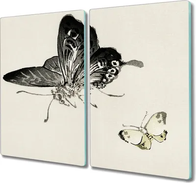 Produktbild von Coloray Hackbrett Küchenbrett Kochplattenabdeckung Schneidebrett Herdabdeckplatte 2x30x52 cm - Insekten Schmetterling