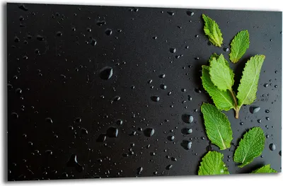Produktbild von Herdabdeckplatte Glaskeramikkochfeld-Abdeckung Spritzschutz Glas 80x52 Tropfen