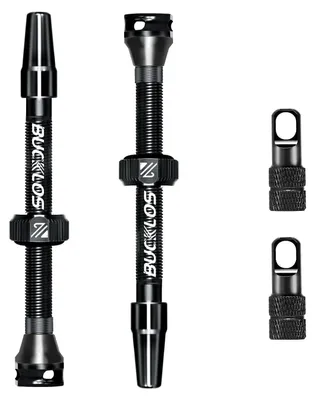 Productafbeelding van Hoseless Presta Ventiel voor MTB en Racefietsen