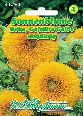 Produktbild von Sonnenblume Hohe Gefüllte Gelbe | Sonnenblumensamen von N.L. Chrestensen