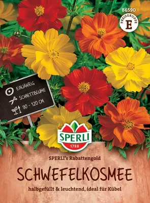 Produktbild von SPERLI Schmuckkörbchensamen Rabattengold Cosmos sulphureus 70 Pflanzen