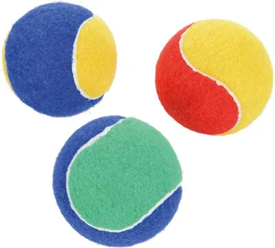 Image de Balles de tennis Fit+FUN